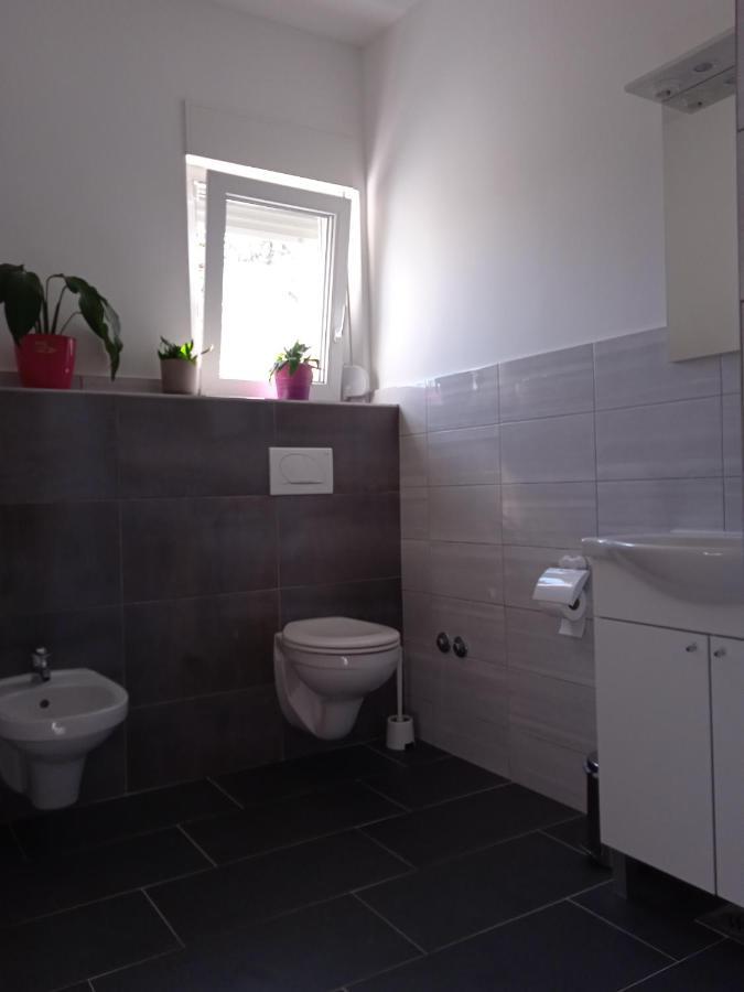 Seoski Turizam Stari Mlin Na Korani Room 2 カルロヴァッツ エクステリア 写真